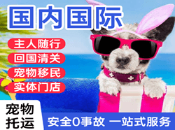 昌北空运国际宠物托运 【国